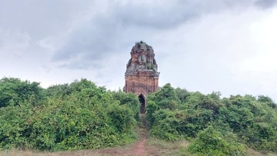 Gia Lai membangun proyek untuk memulihkan menara kuno berusia hampir 900 tahun