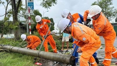 บริษัทไฟฟ้าเหงะอานได้เสร็จสิ้นการฟื้นฟูระบบจ่ายไฟฟ้าของจังหวัดก่อนวันชาติ 2 กันยายน