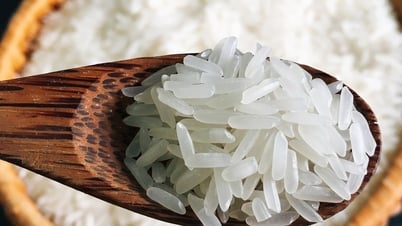 سعر الأرز اليوم 31 أغسطس: ركود في الأسعار وهدوء في التعاملات