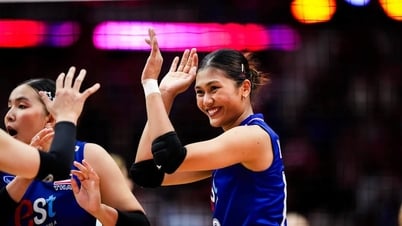 Résultats du Championnat du monde de volley-ball 2025 aujourd'hui 31 août