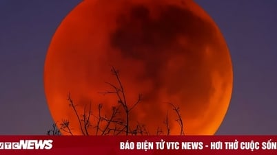 ہارویسٹ بلڈ مون اور کل چاند گرہن: 7 ستمبر کی رات کو ایک شاندار شو