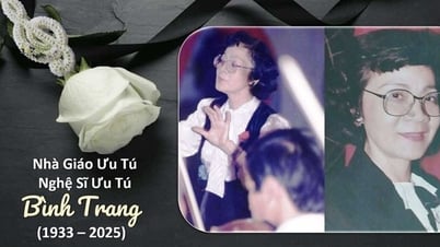 Adeus à Sra. Binh Trang, a primeira maestrina do Vietnã