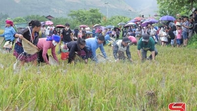 Kompetisi Memancing yang Seru