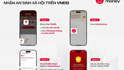 دليل Viettel Money حول كيفية الحصول على مزايا الضمان الاجتماعي عبر VNeID