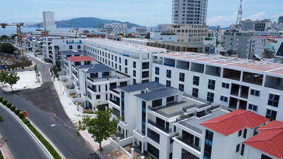 Khanh Hoa propõe suspender a inspeção de 8 projetos