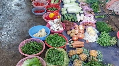 嵐が続く中、野菜は不足し続け、価格は急騰している