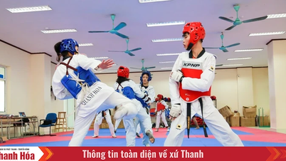 Building a comprehensive athlete force towards the National Sports Festival