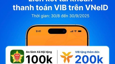 Vincular cuenta de seguridad social para recibir recompensas de VIB