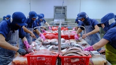 Việt Nam thành cường quốc xuất khẩu nông sản, nhiều mặt hàng dẫn đầu thế giới
