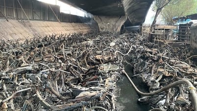 Đánh giá mức độ ảnh hưởng kết cấu cầu Vĩnh Tuy sau vụ cháy bãi xe dưới gầm cầu