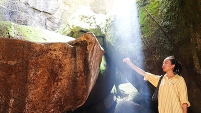 Os turistas adoram tirar fotos de campos de palmeiras e cavernas únicas em An Giang