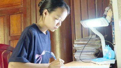 学生単位 - 国境地域の夢を支援