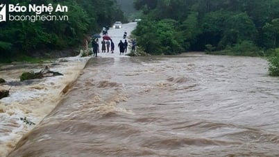 الطقس في نغي آن في 31 أغسطس: أمطار غزيرة إلى غزيرة جدًا وعواصف رعدية
