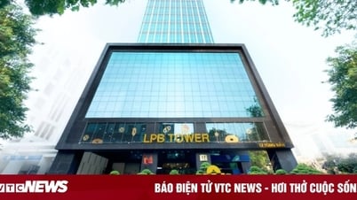 15 công ty tăng trưởng lợi nhuận lớn nhất 6 tháng đầu năm 2025