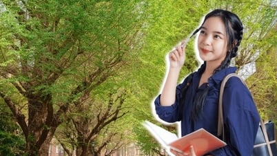Đề xuất cắt giảm hỗ trợ tài chính cho nghiên cứu sinh tiến sĩ quốc tế