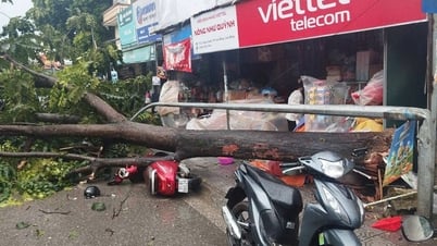 Phòng ngừa, ứng phó sự cố môi trường có thể xảy ra trước diễn biến cơn bão số 3