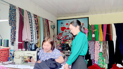 Những “hạt giống đỏ” giữa lòng xứ đạo