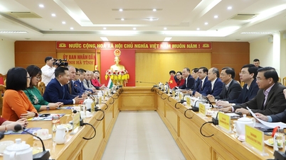 Ha Tinh connects and cooperates with organizations and investors from Hungary