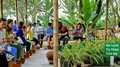 Vinh Long tourism grows after merger, aiming for comprehensive development