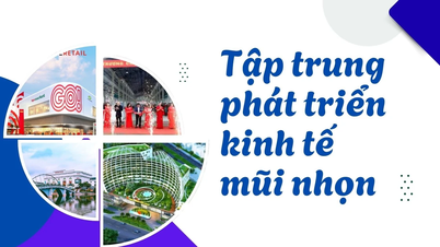 Tập trung phát triển kinh tế mũi nhọn