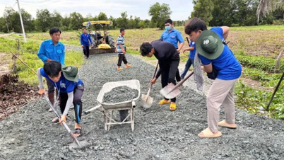 Dấu ấn Mùa hè xanh