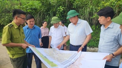 Đoàn công tác của tỉnh kiểm tra Dự án khai thác khoáng sản mỏ Bauxite Táp Ná tại xã Thanh Long