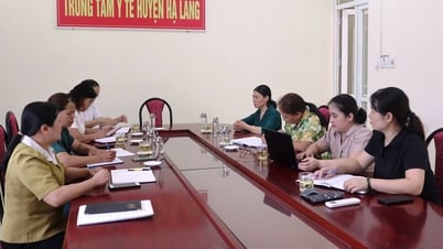 Kiểm tra, giám sát công tác dân số và Chương trình mục tiêu quốc gia tại Trạm Y tế xã Quang Long, xã Hạ Lang và Trung tâm Y tế Hạ Lang