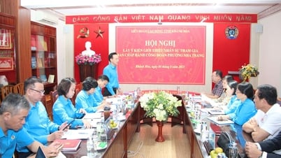 Liên đoàn Lao động tỉnh lấy ý kiến giới thiệu nhân sự tham gia Ban Chấp hành Công đoàn phường Nha Trang