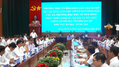 Chủ tịch UBND TPHCM Nguyễn Văn Được làm việc với chính quyền xã, phường khu vực Bà Rịa – Vũng Tàu