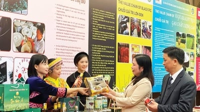 Nâng cao giá trị sản phẩm nông nghiệp theo chuỗi liên kết