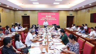 Quy định của Ban Bí thư về chức năng, nhiệm vụ của Ban Chỉ đạo Trung ương về công tác thông tin đối ngoại