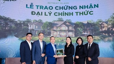 SG Investment chính thức phân phối biệt thự đảo của Ecopark tại thị trường phía Nam