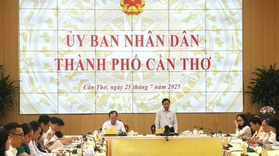 Cần Thơ hợp nhất – Một tháng vận hành thông suốt, dân tin tưởng, doanh nghiệp mừng
