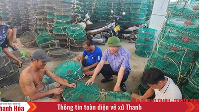 Ngọc Sơn khai thác tiềm năng, lợi thế để bứt phá