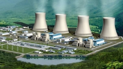 Phấn đấu hoàn thành giải phóng mặt bằng dự án nhà máy điện hạt nhân Ninh Thuận trong năm 2025