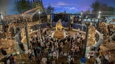 Hành trình về kỷ Jura ở Nhật Bản
