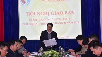 Sở Tài nguyên và Môi trường triển khai nhiệm vụ công tác tháng 02 năm 2025