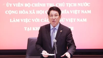 Củng cố tin cậy chính trị để mở rộng hợp tác giữa Việt Nam và các nước châu Phi