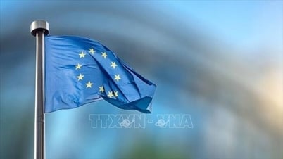 5 năm thực thi EVFTA: Hợp tác thương mại giữa Việt Nam và EU tăng trưởng vượt bậc