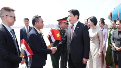 Việt Nam và Ai Cập, Angola nâng tầm hợp tác