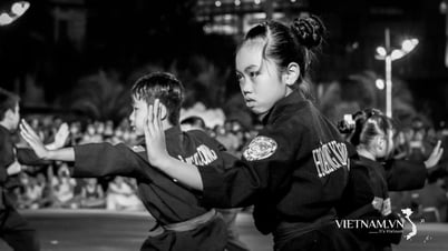 Tinh hoa võ Việt