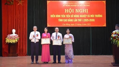 Sở Nông nghiệp và Môi trường hội nghị điển hình tiên tiến lần thứ I