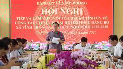 Trưởng ban Nội chính Tỉnh ủy An Giang làm việc với 3 xã: Vĩnh Thuận, Vĩnh Phong và Vĩnh Bình