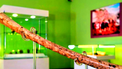 Phát hiện cây sáo xương cổ 8.000 năm khiến giới khảo cổ chấn động
