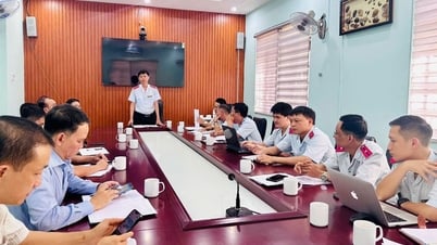 Công bố quyết định thanh tra một số dự án tại Lâm Đồng