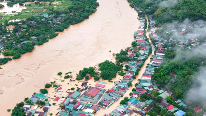 Northern region faces heavy rain: Activating flood response plan, protecting irrigation works