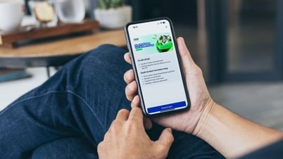 Các "siêu" cổ phiếu chào sàn với giá trên 200.000 đồng giờ ra sao?