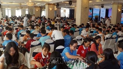 Khoảng 700 vận động viên tranh tài ở Giải Cờ vua miền Trung và Tây Nguyên mở rộng