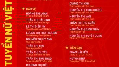 Đội tuyển nữ Việt Nam chốt danh sách tham dự Giải vô địch Đông Nam Á 2025
