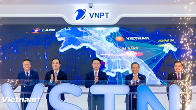 Khánh thành tuyến cáp quang quốc tế đầu tiên do doanh nghiệp Việt làm chủ đầu tư